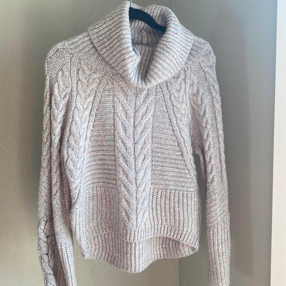 Express turtleneck sweater